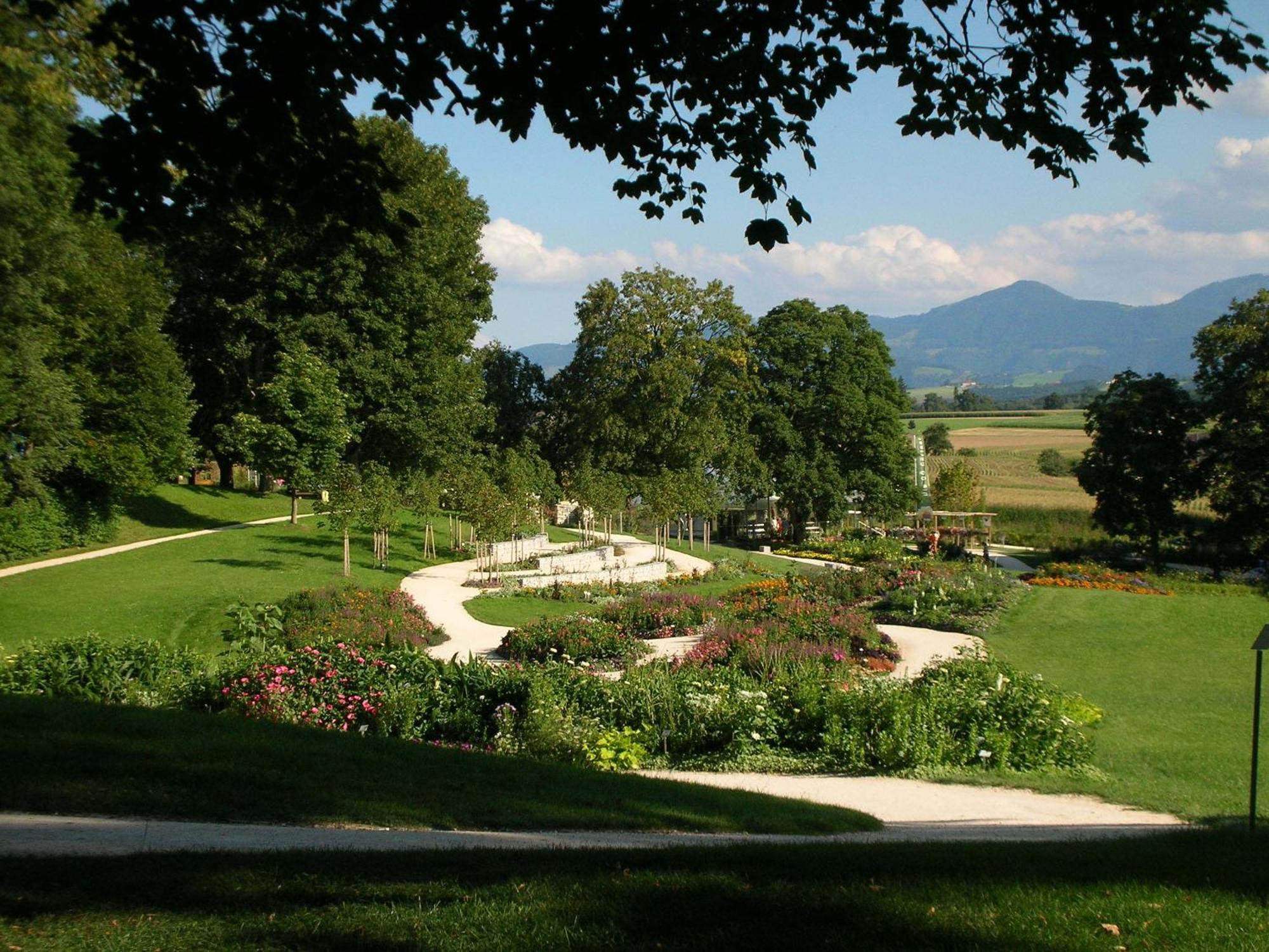 Hotel Hallerhof Bad Hall Esterno foto
